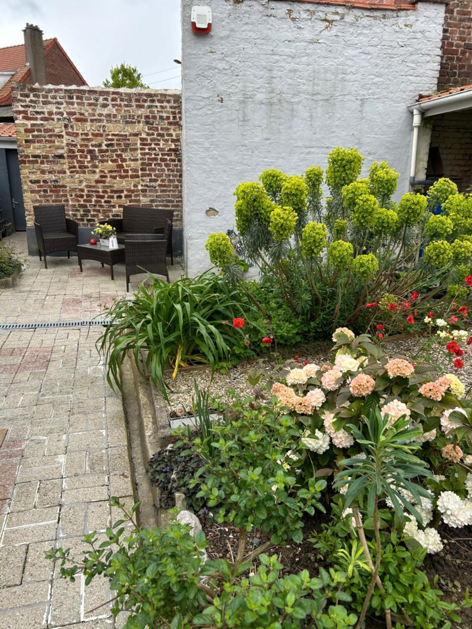 Appartement Avec Jardin 3 Couchages Proche Port Des Fontinettes Arques  Extérieur photo